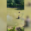 Мероприятия по спасению молоди рыбы