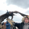 БӘЙТЕРЕКТЕ ДАЛА ЕҢБЕГІ ҰЛЫҚТАЛДЫ