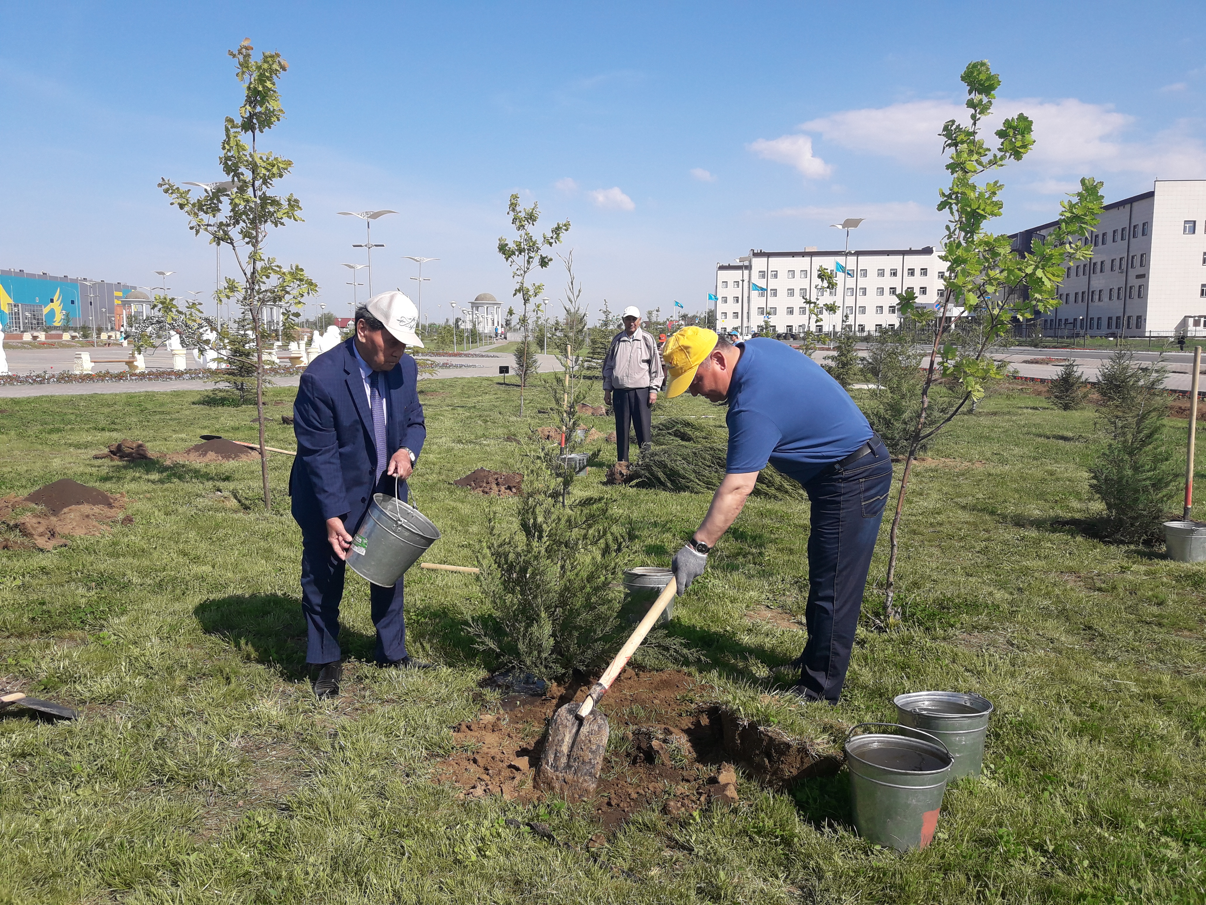 Иваново очистка города высадка деревьев. Абаттандыру көгалдандыру картинка.