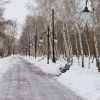 Дирекцию парков и скверов создадут в Уральске