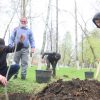 Свыше 10 тысяч саженцев деревьев и кустарников высадят в Уральске до конца весны
